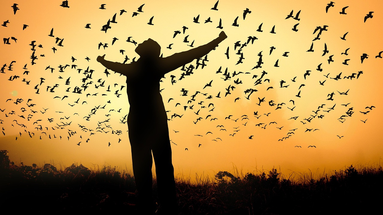 A person standing in an open field with arms raised as birds take flight at sunrise